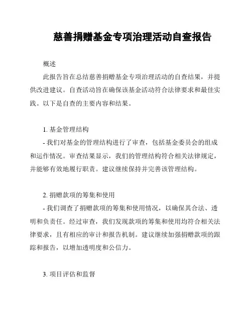 慈善捐赠基金专项治理活动自查报告