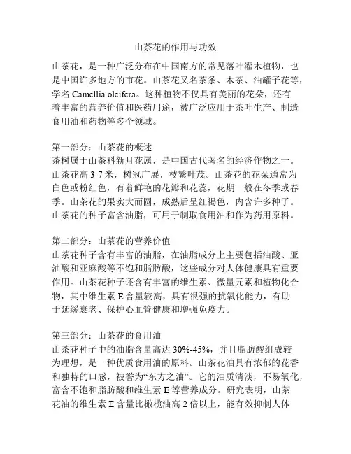 山茶花的作用与功效