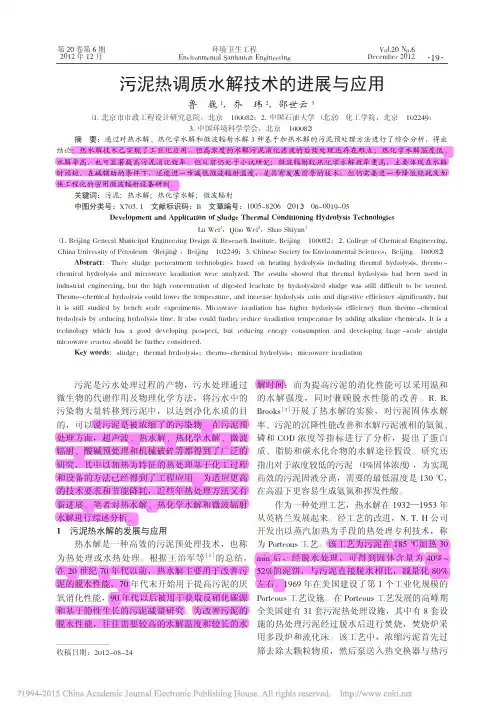 污泥热调质水解技术的进展与应用_鲁巍