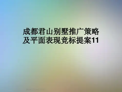 成都君山别墅推广策略及平面表现竞标提案11