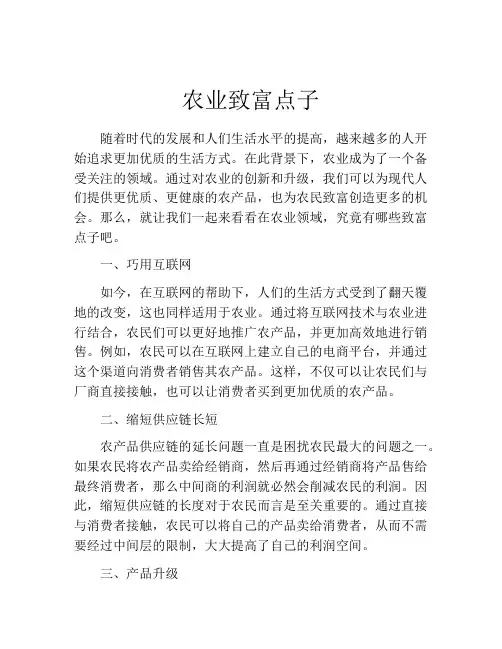 农业致富点子