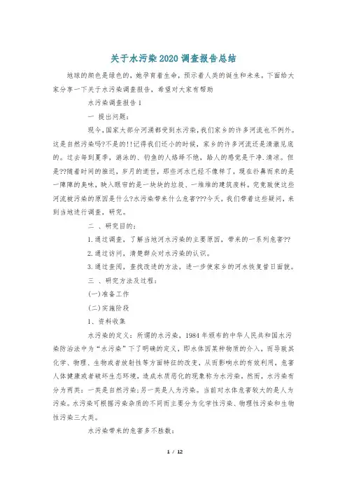 关于水污染2020调查报告总结