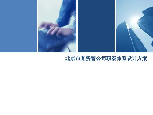 北京市某资管公司职级体系设计方案