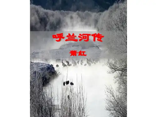《呼兰河传》ppt课件