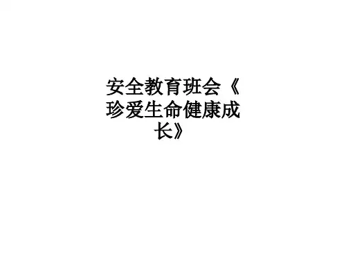 安全教育班会《珍爱生命健康成长》ppt课件