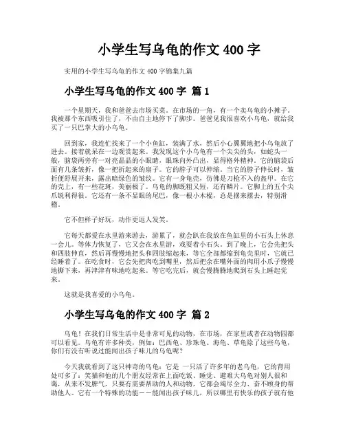 小学生写乌龟的作文400字