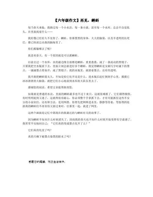 【六年级作文】再见,蝌蚪