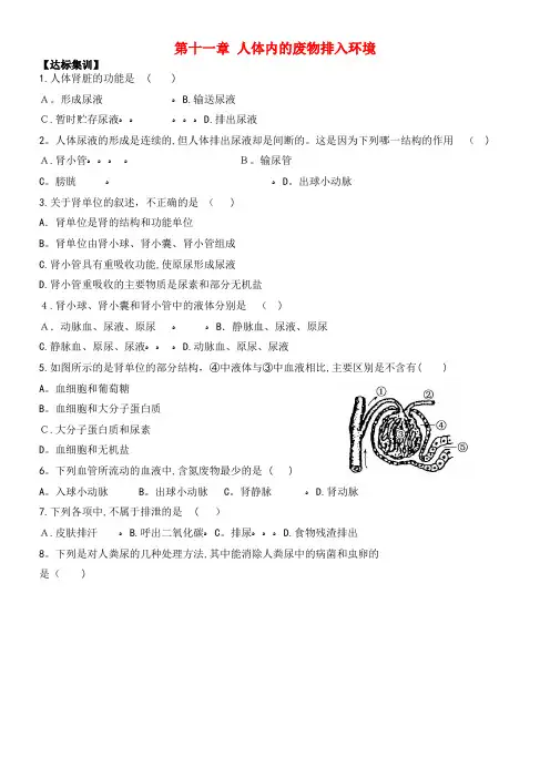 中考生物一轮教材达标 第4单元 第十一章 人体内的废物排入环境(含解析)(2021-2022学年)