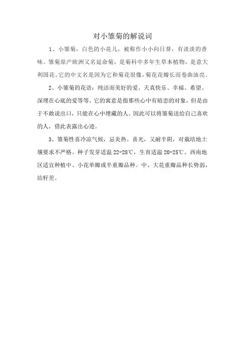 对小雏菊的解说词