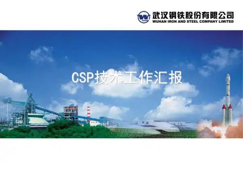 CSP技术工作汇报