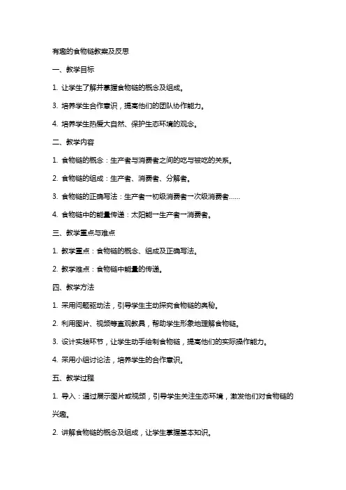 有趣的食物链教案及反思