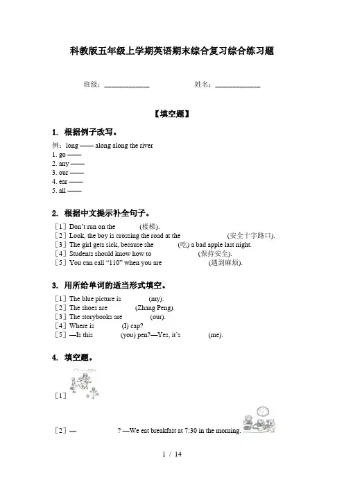 科教版五年级上学期英语期末综合复习综合练习题