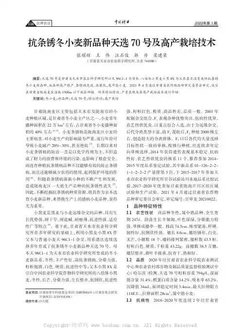 抗条锈冬小麦新品种天选70号及高产栽培技术