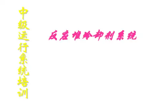 《900MW压水堆核电站系统与设备》运行教程  ppt课件