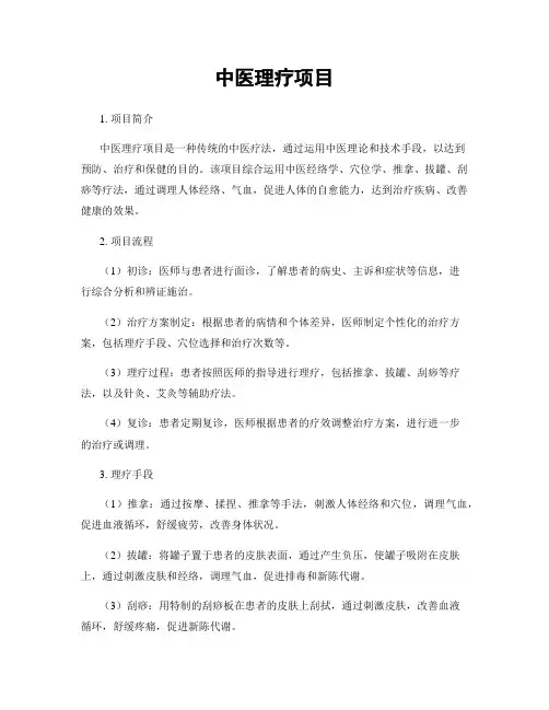 中医理疗项目