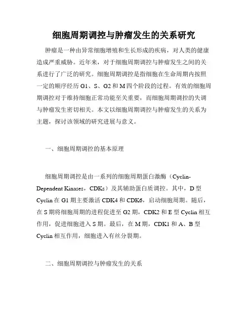 细胞周期调控与肿瘤发生的关系研究