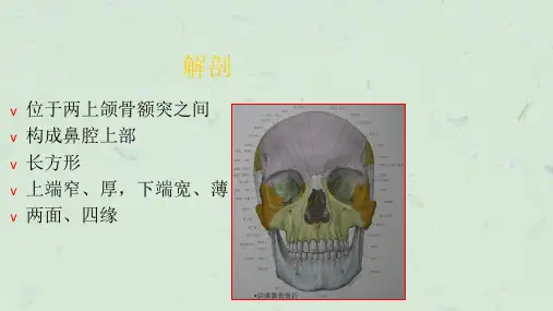 讲课鼻骨骨折课件