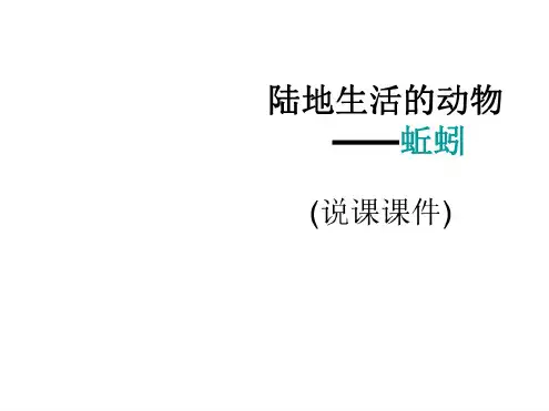 八年级生物蚯蚓