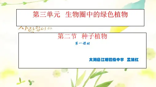 初中生物人教版七年级上册第二节 种子植物
