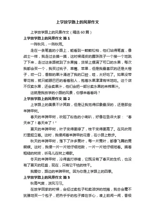 上学放学路上的风景作文（精选60篇）