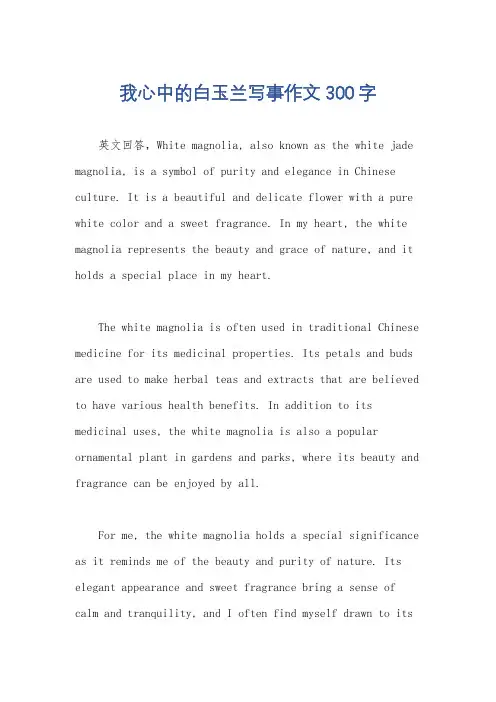 我心中的白玉兰写事作文300字