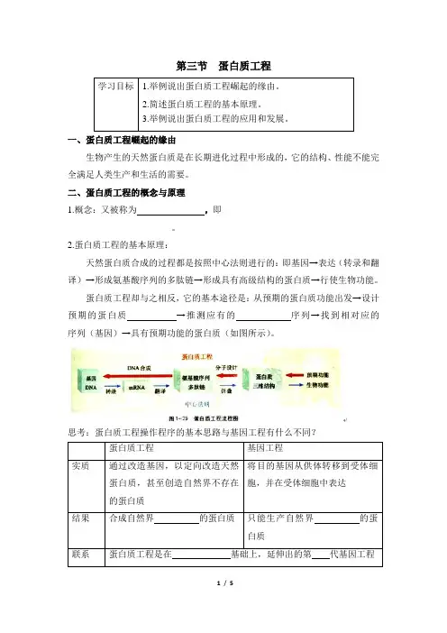 苏教版高中生物选修3《蛋白质工程》导学案