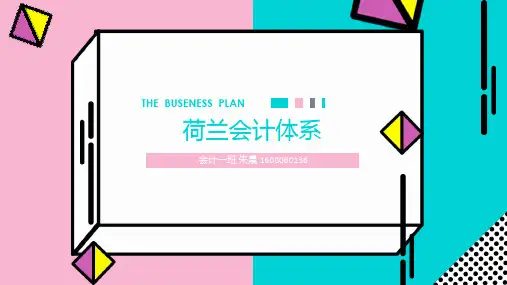 荷兰会计 PPT课件