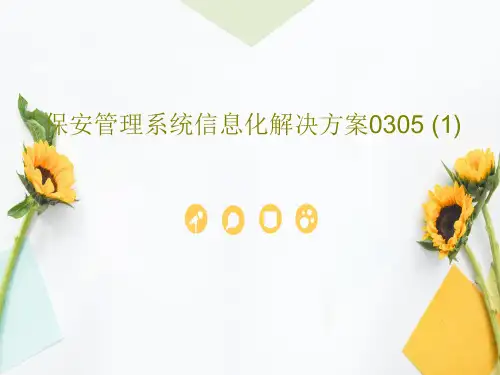 保安管理系统信息化解决方案0305 (1)共28页