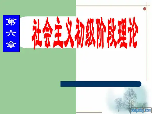 毛概第6章