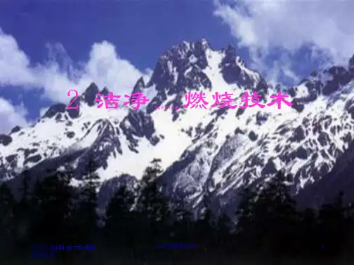 2 洁净燃烧技术