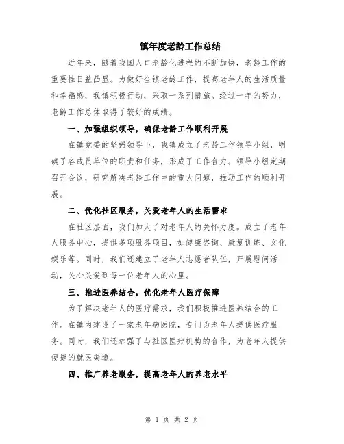 镇年度老龄工作总结