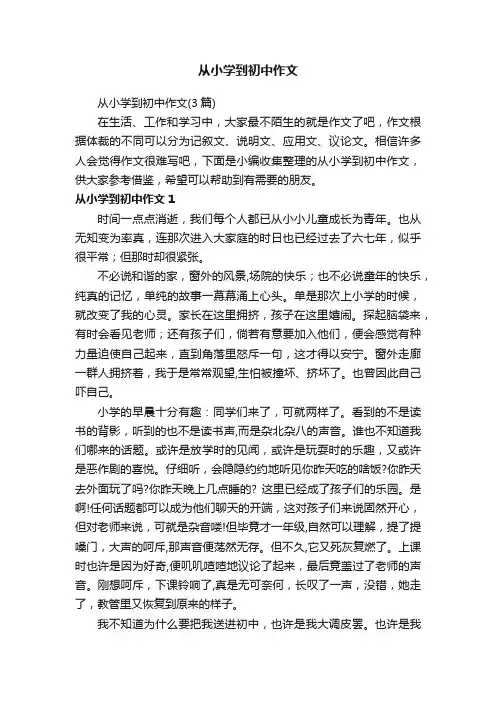 从小学到初中作文
