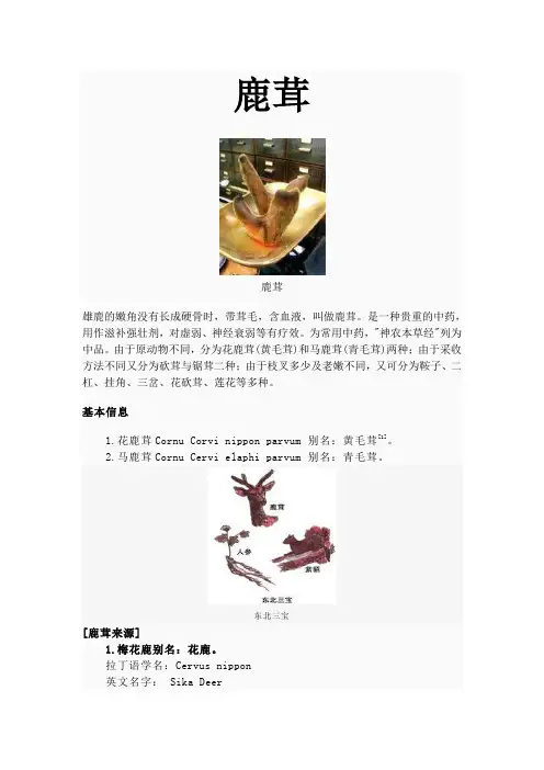 鹿茸药册