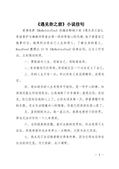 《遇见你之前》小说佳句