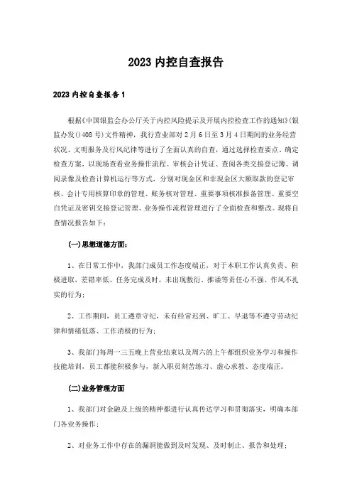 2023内控自查报告