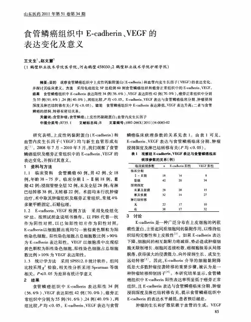 食管鳞癌组织中E—cadherin、VEGF的表达变化及意义