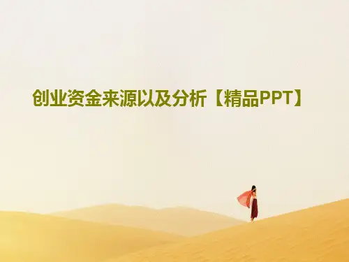 创业资金来源以及分析【精品PPT】共24页文档
