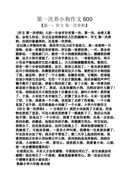 第一次养小狗作文600