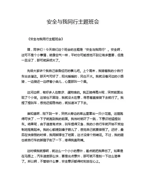 安全与我同行主题班会