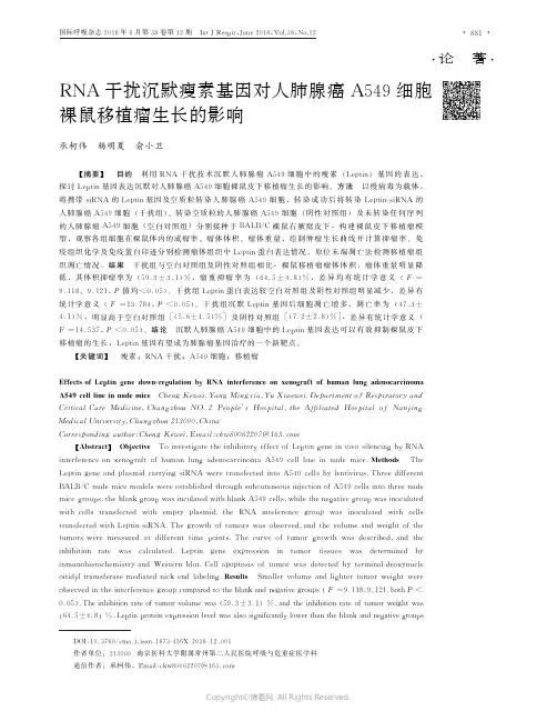 RNA干扰沉默瘦素基因对人肺腺癌A549细胞裸鼠移植瘤生长的影响