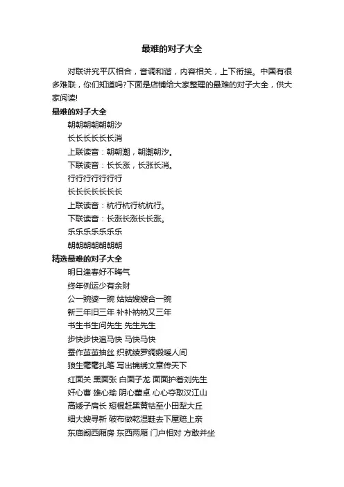 最难的对子大全