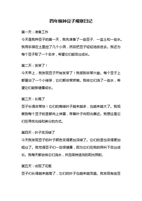 四年级种豆子观察日记