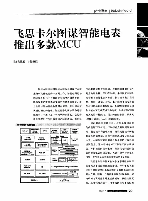飞思卡尔图谋智能电表推出多款MCU