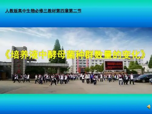《培养液中酵母菌种群数量的变化》说课课件