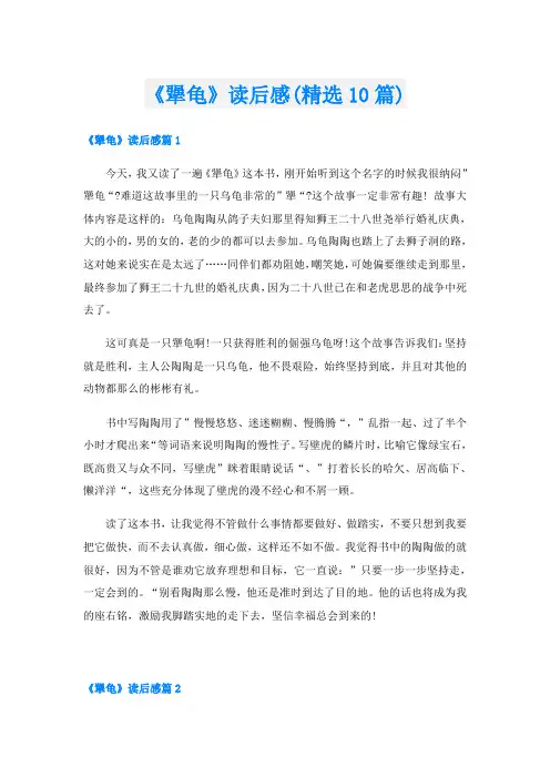 《犟龟》读后感(精选10篇)