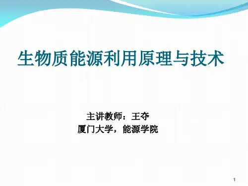生物质能课件——第八章 生物质气化
