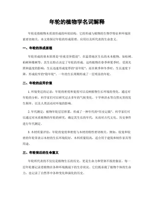 年轮的植物学名词解释