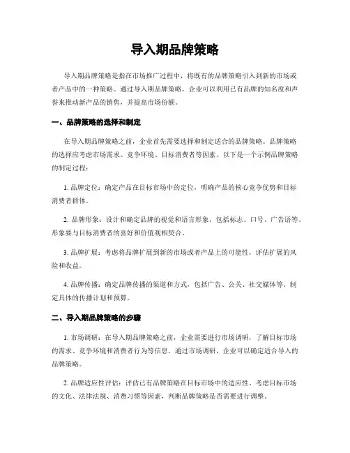 导入期品牌策略