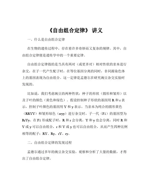 《自由组合定律》 讲义