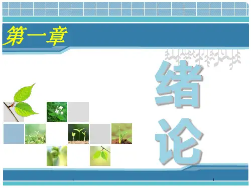 信息组织概述PPT课件
